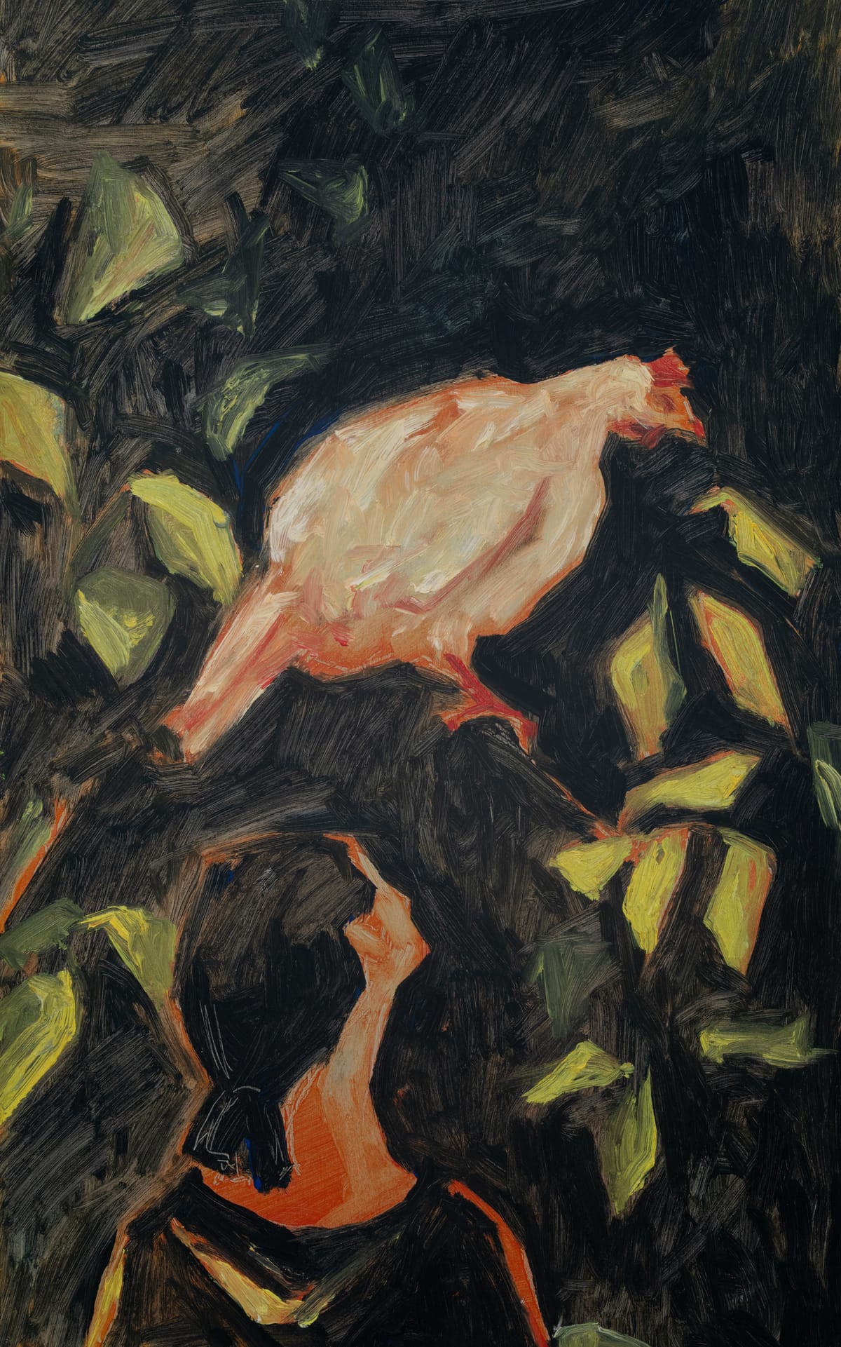 Hen, Kunstverk av Alina Yurkovska